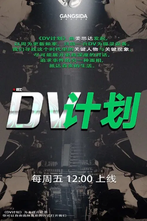 DV计划 tv show poster