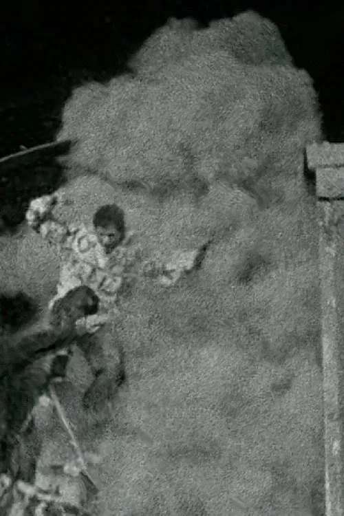 The Black Cat movie poster