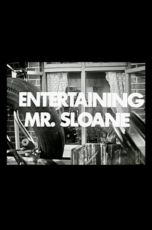 Entertaining Mr. Sloane movie poster