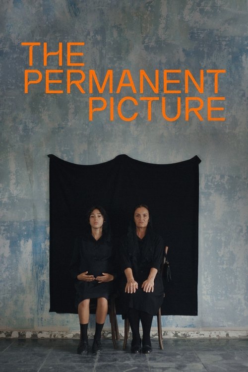 The Permanent Picture movie poster