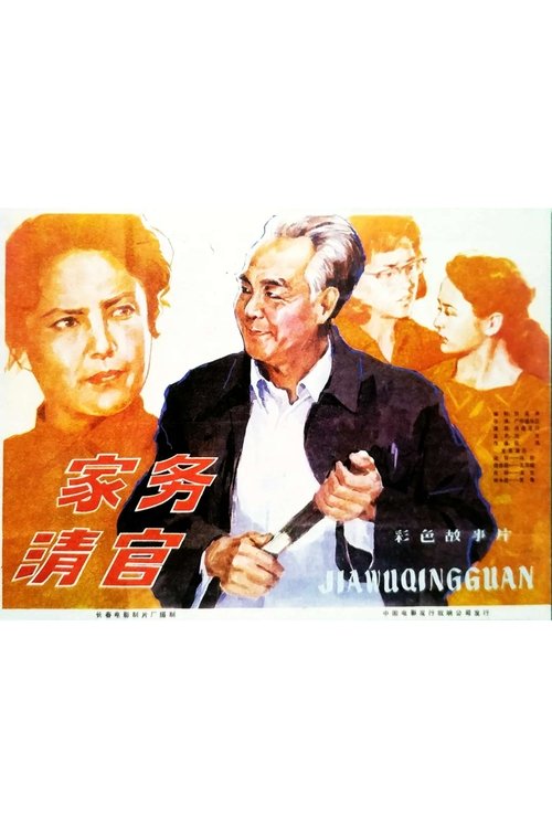 家务清官 movie poster