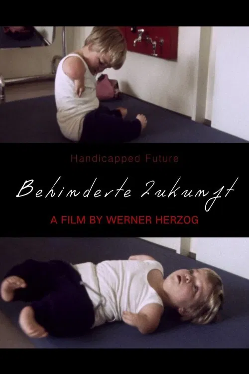 Handicapped Future movie poster