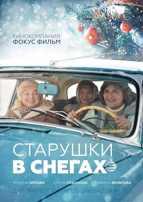Старушки в снегах movie poster