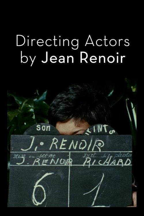 Directing Actors by Jean Renoir movie poster