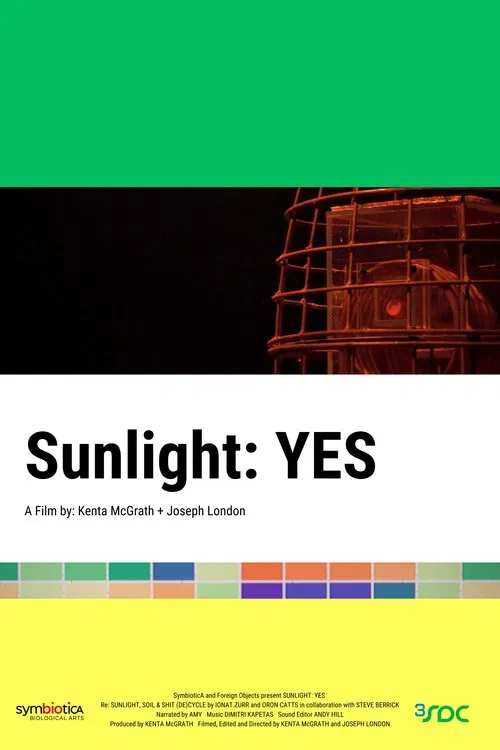 Sunlight: YES movie poster