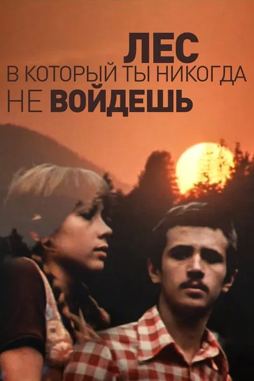 The Forest You'll Never Enter movie poster