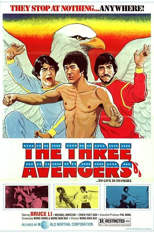 Poster do filme The Lama Avenger