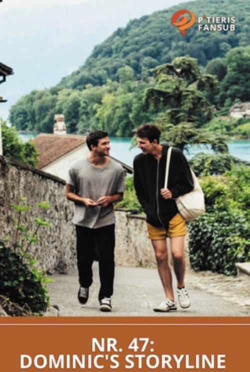 SRF Nr 47: Dominic's Gay Storyline movie poster