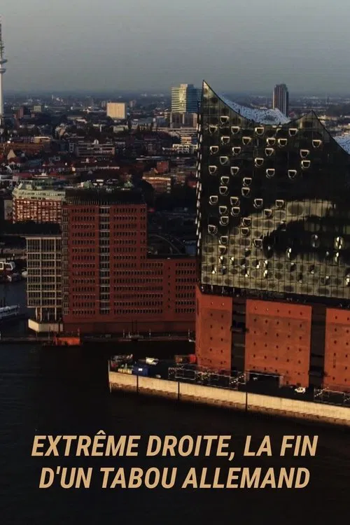 Extrême droite : la fin d'un tabou allemand movie poster