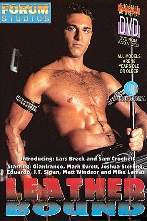 LEATHER BOUND movie poster