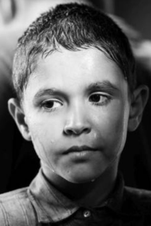 Petr Kotlár profile picture