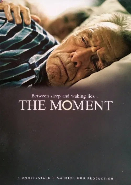 Poster do filme The Moment