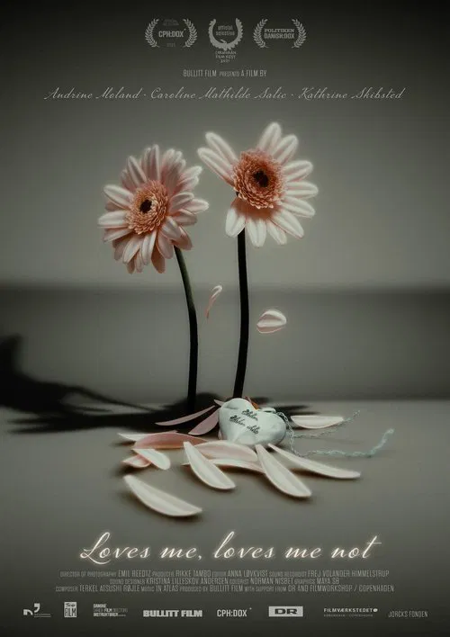 Loves Me, Loves Me Not movie poster