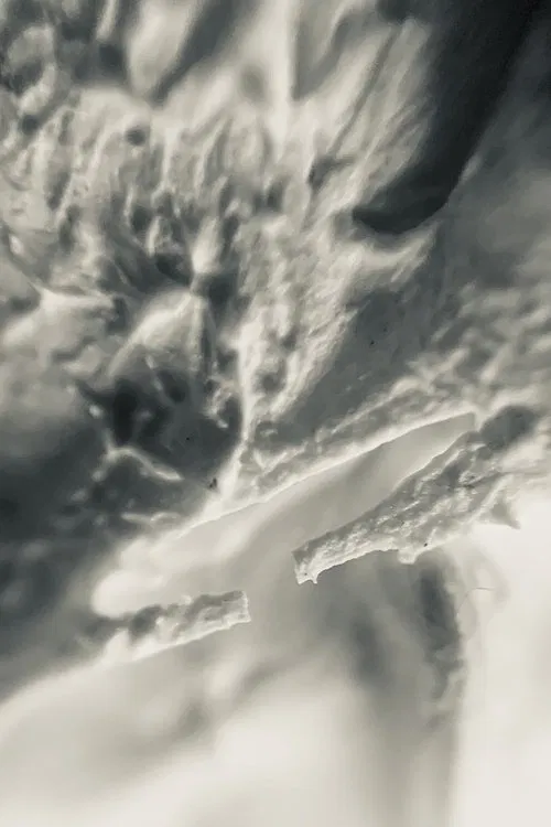 Rough Texture / Pilot Run movie poster