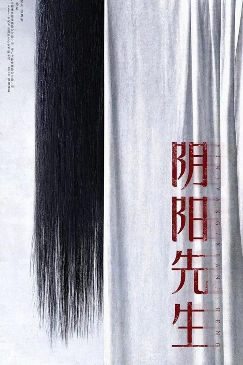 Mr Yin-Yang movie poster