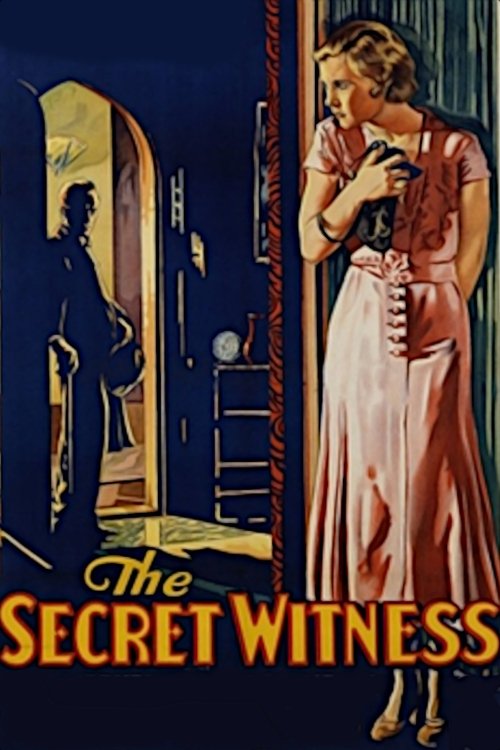 The Secret Witness movie poster