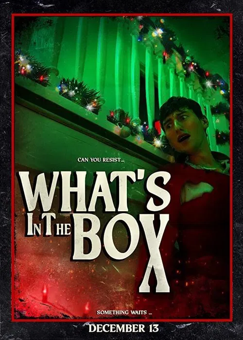 Poster do filme What's in the Box