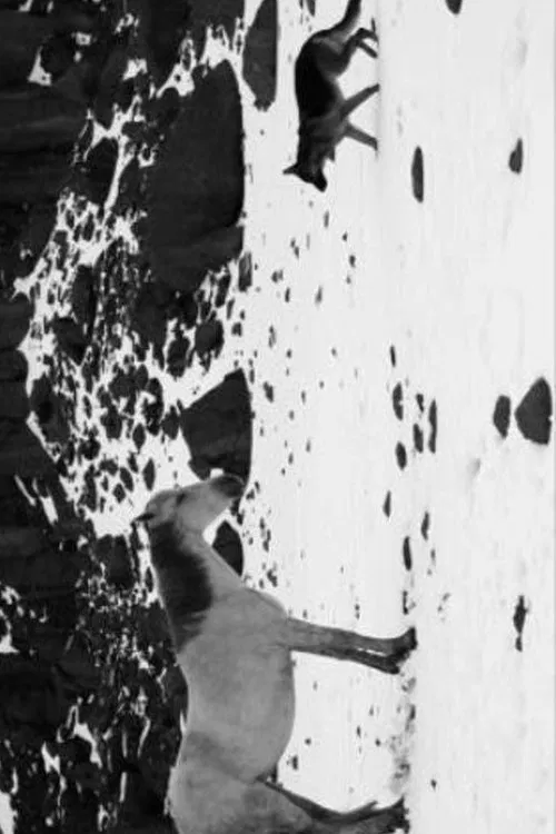 Little Block of Cement with Dishevelled Hair Containing the Sea movie poster