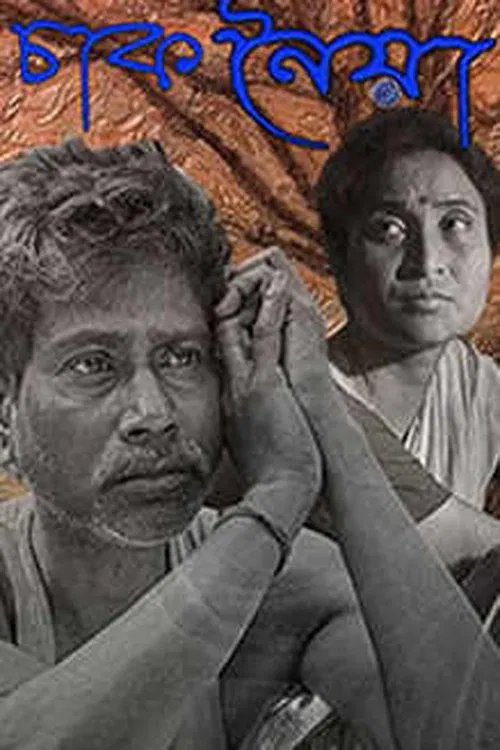 Chaaknoiya movie poster