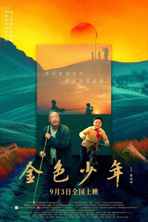 金色少年 movie poster