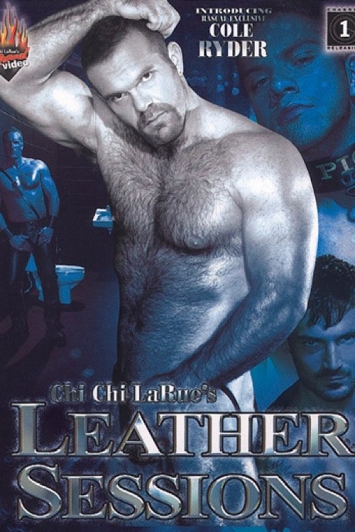 Leather Sessions movie poster
