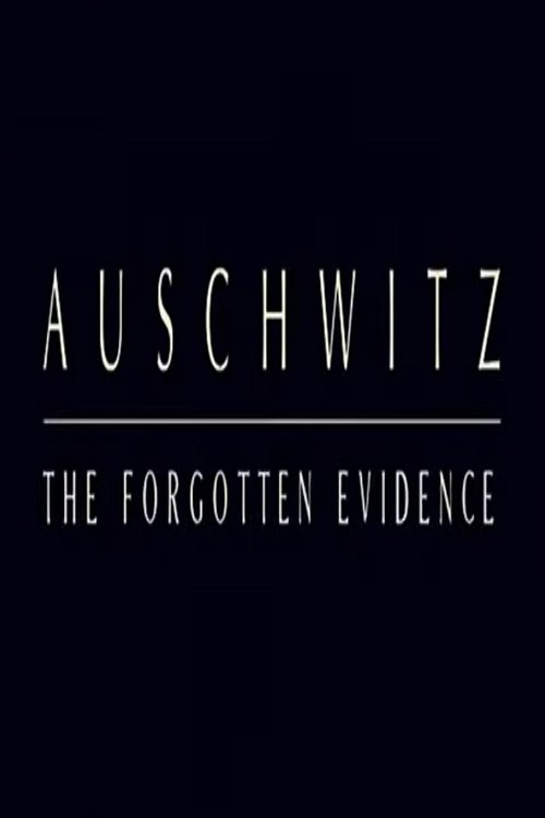 Auschwitz: The Forgotten Evidence movie poster