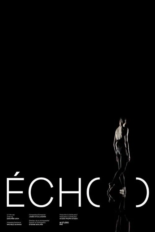Écho movie poster
