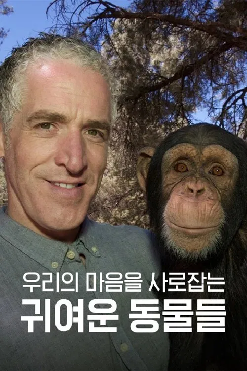 우리의 마음을 사로잡는 귀여운 동물들 tv show poster