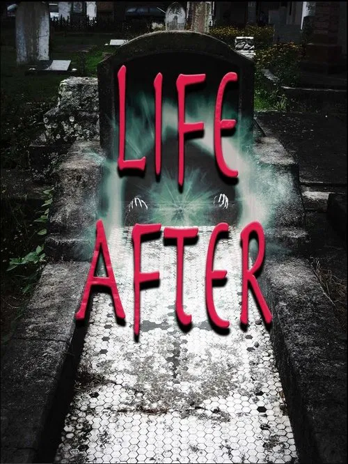 Poster do filme Life After