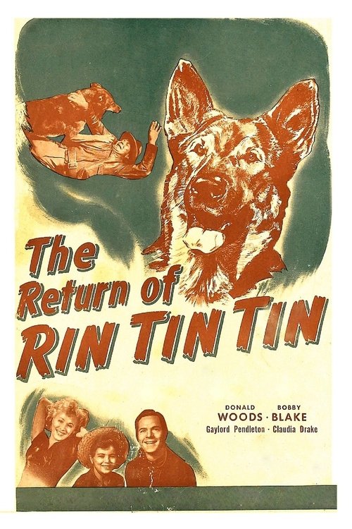 The Return of Rin Tin Tin movie poster