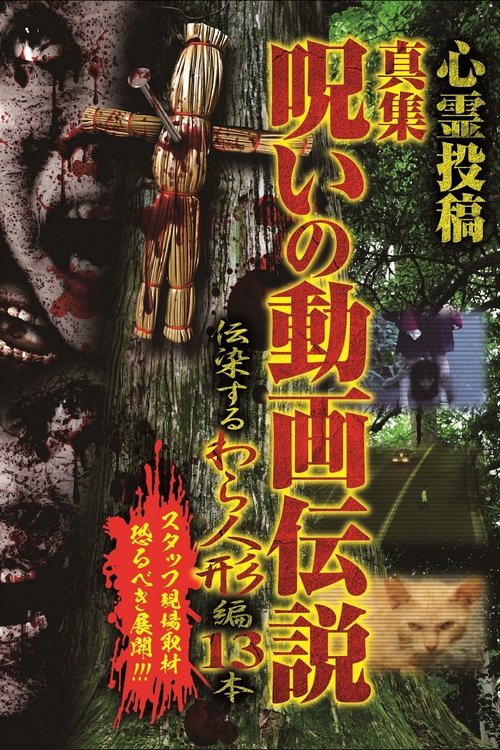 Shinshu, A Curse Video Legend: 13 Infectious Straw Dolls movie poster