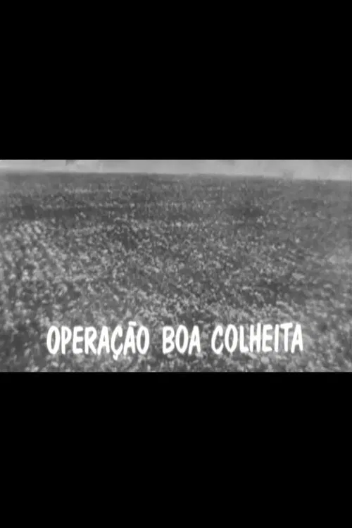 Operação Boa Colheita movie poster
