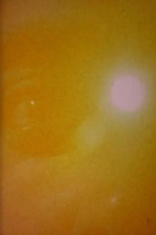 L'Autre Rive movie poster