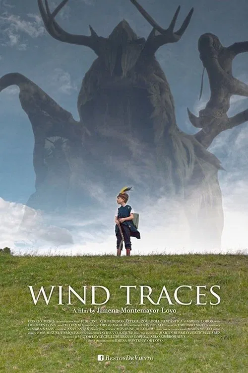 Wind Traces movie poster