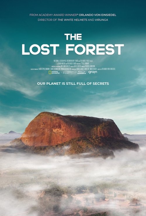 The Lost Forest movie poster