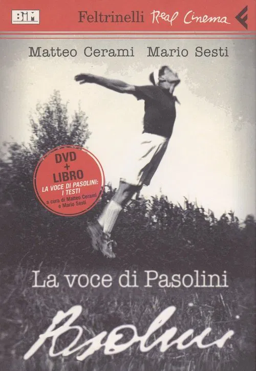 La voce di Pasolini movie poster