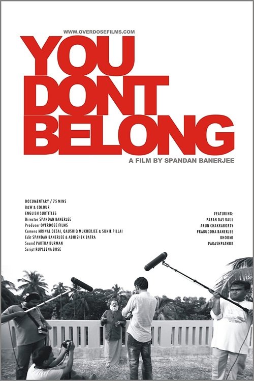 You Don't Belong movie poster