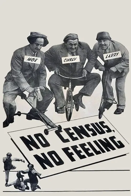 No Census, No Feeling movie poster