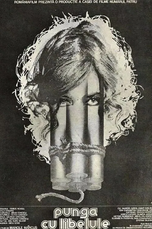 Poster do filme The Dragonfly Bag