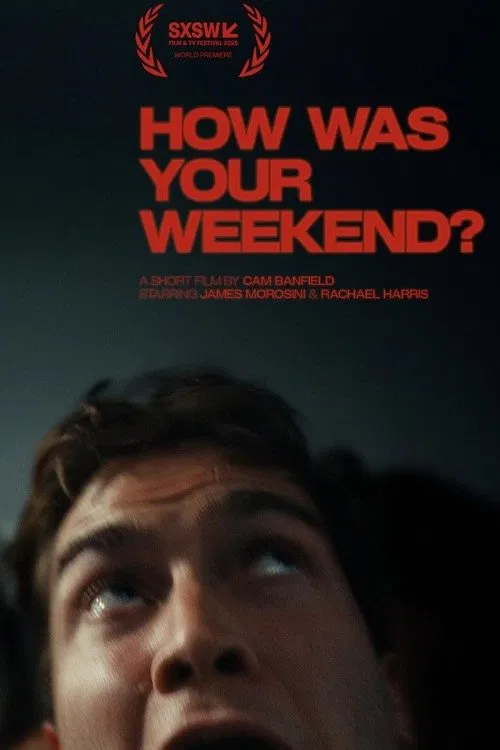 How Was Your Weekend? movie poster