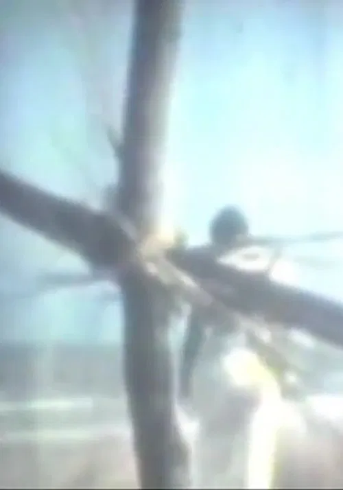 Poster do filme El diablo