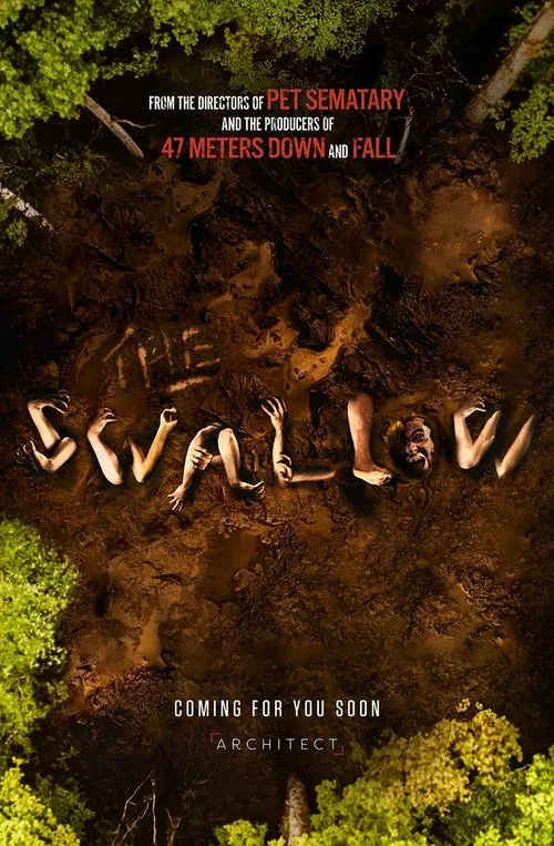 The Swallow movie poster