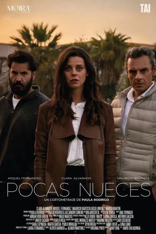 Pocas nueces movie poster