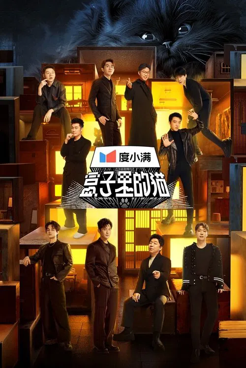 Poster da série Mystery in the Box
