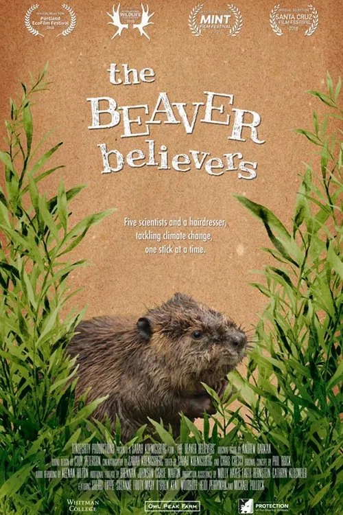 The Beaver Believers movie poster