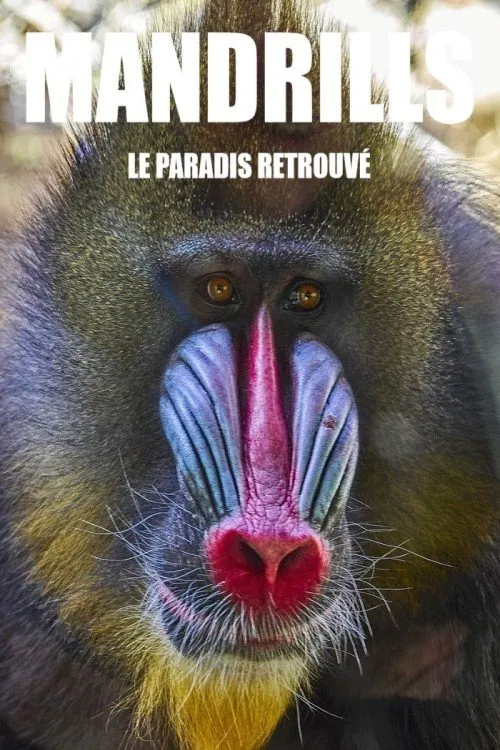 Mandrills : le paradis retrouvé movie poster