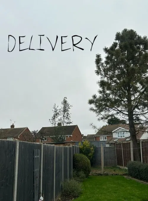 Poster do filme Delivery
