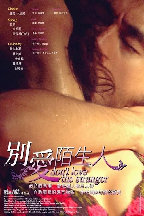 Don't Love the Stranger movie poster