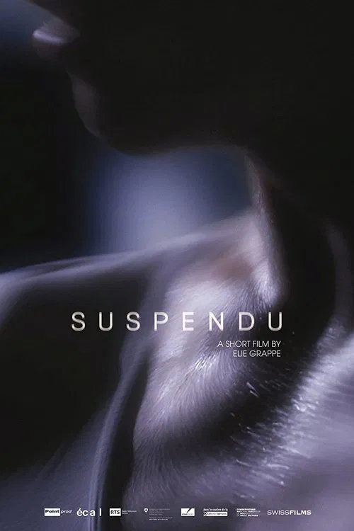 Suspendu movie poster