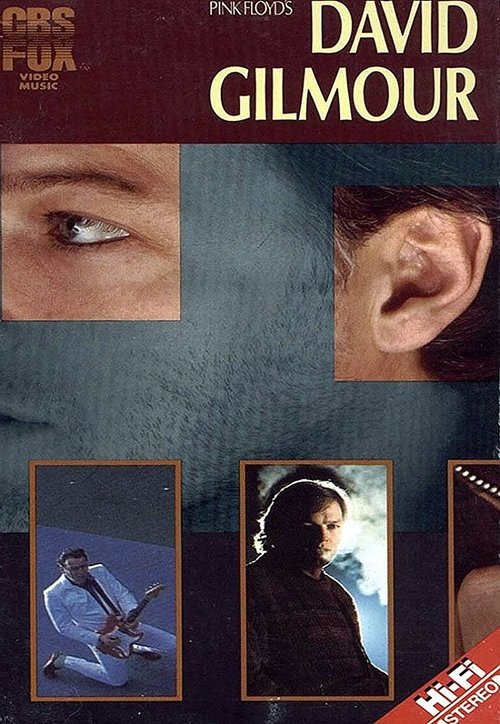 David Gilmour: Live 1984 movie poster